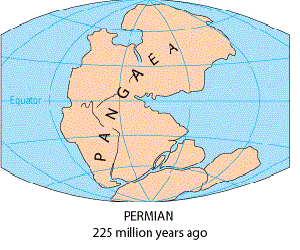 Fin del Paleozoico e inicio del Mesozoico.Historia de la tectónica de placas.