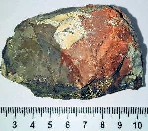 Roca radiolarita � Jurásico. Playa Sámara � Costa Rica.